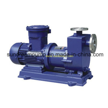 Cq Type Magnetic Pump (Называется как магнитный насос)